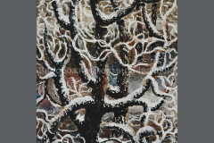 hoar-frost