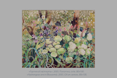 hydrengeas-are-in-blossom