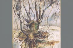 thaw